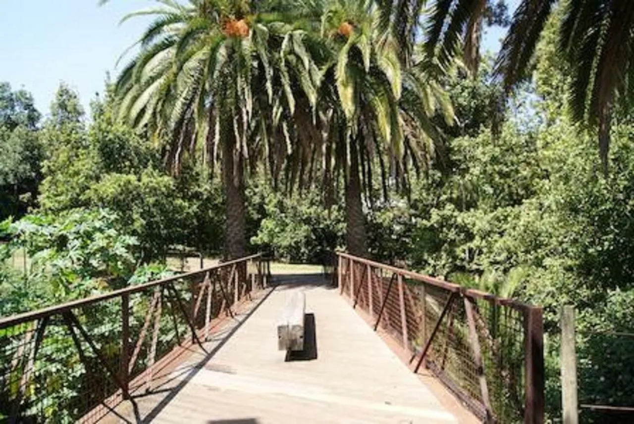 Appartement Apartamento704 Mesa Del Mar Tacoronte Espagne